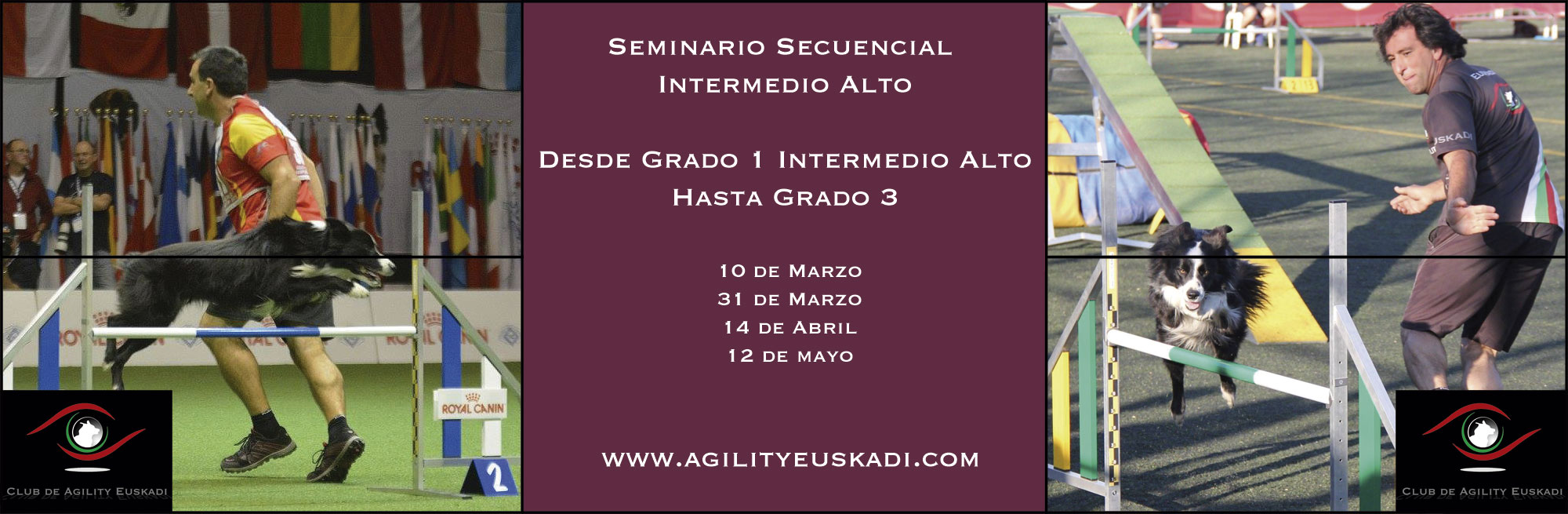 Seminario Secuencial Intermedio Alto