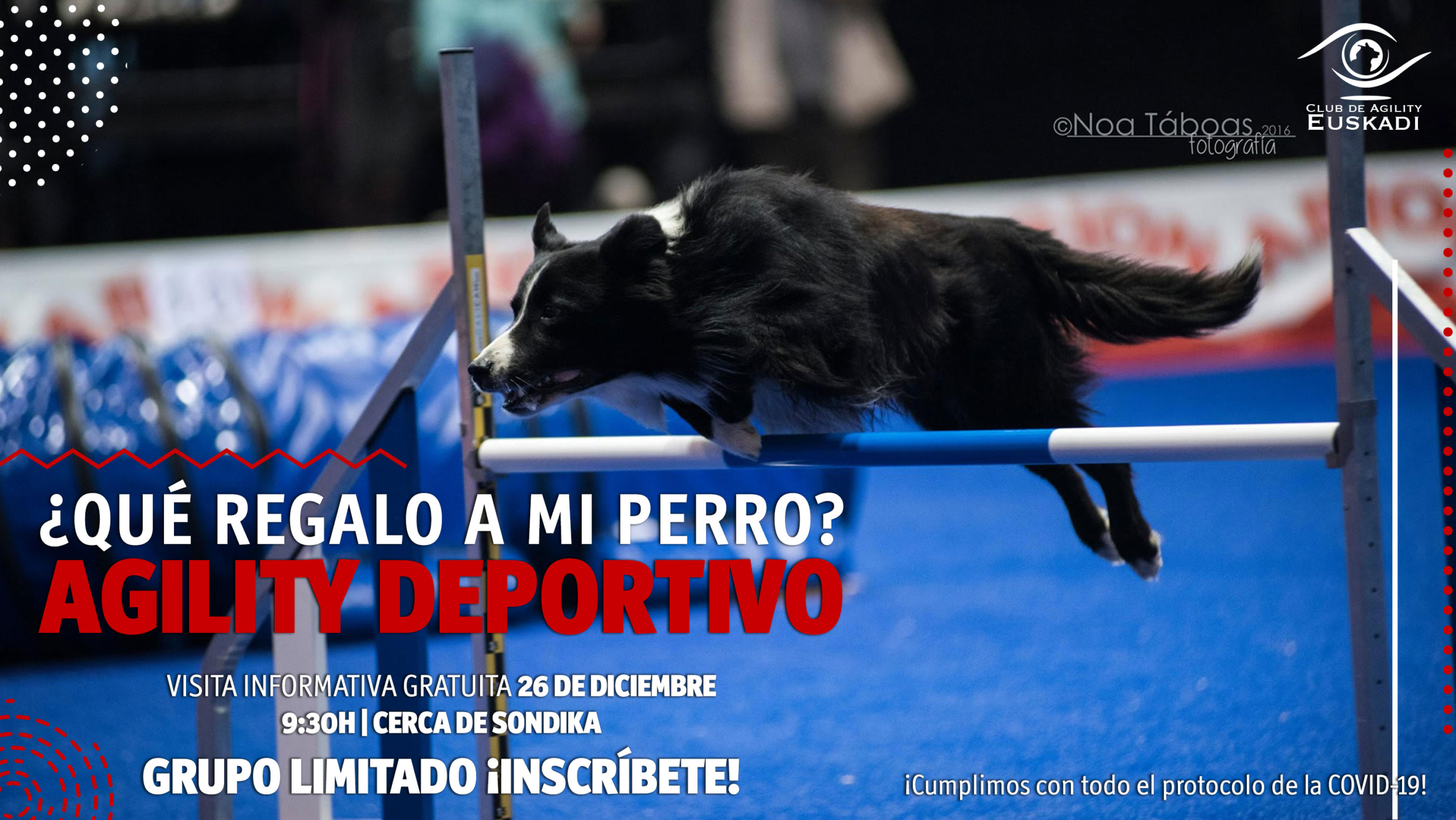 El regalo perfecto para tu perro