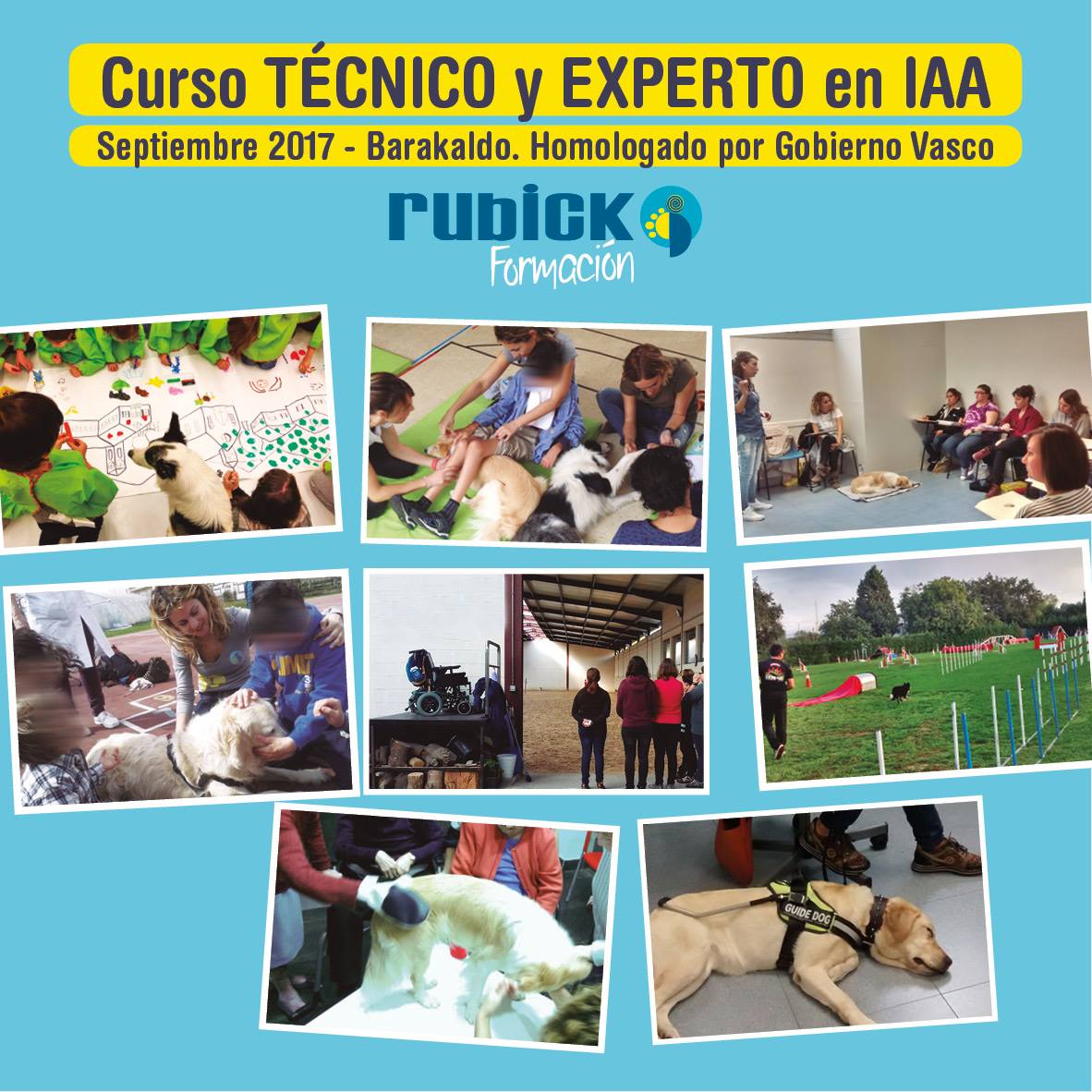 Curso de IAA