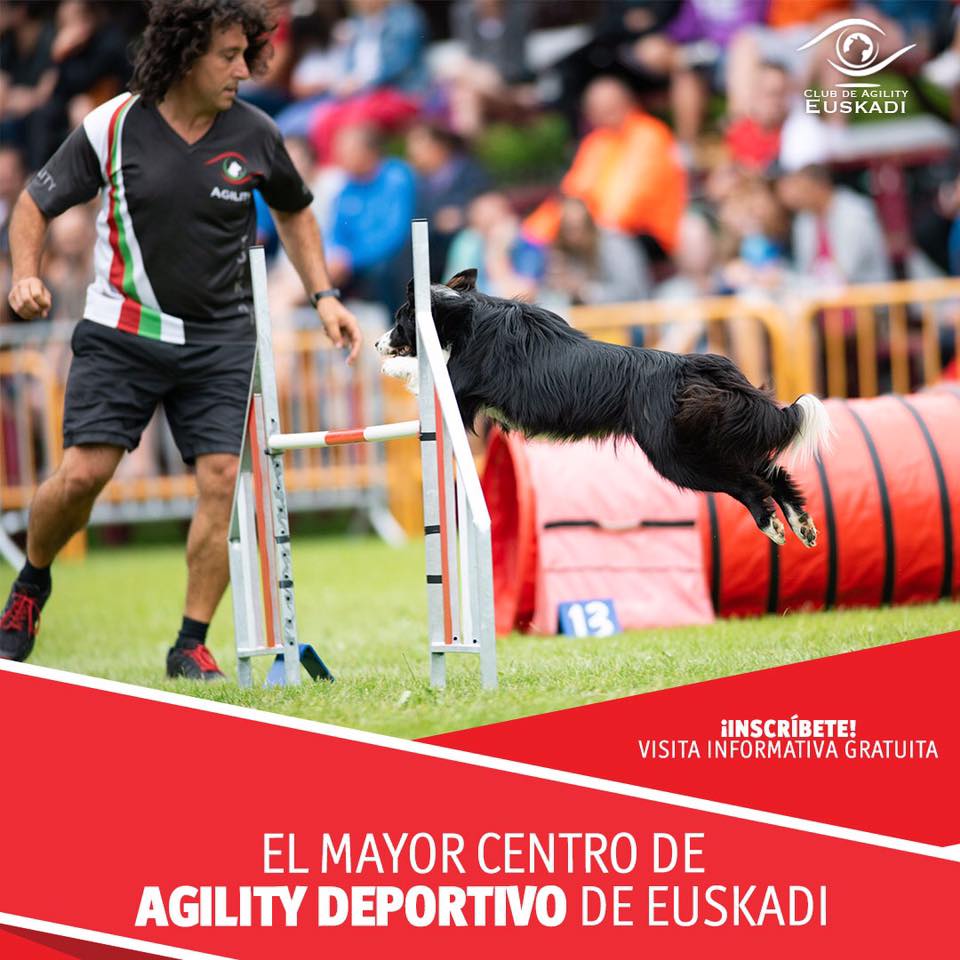 Curso de Agility y Educacion Canina Bizkaia