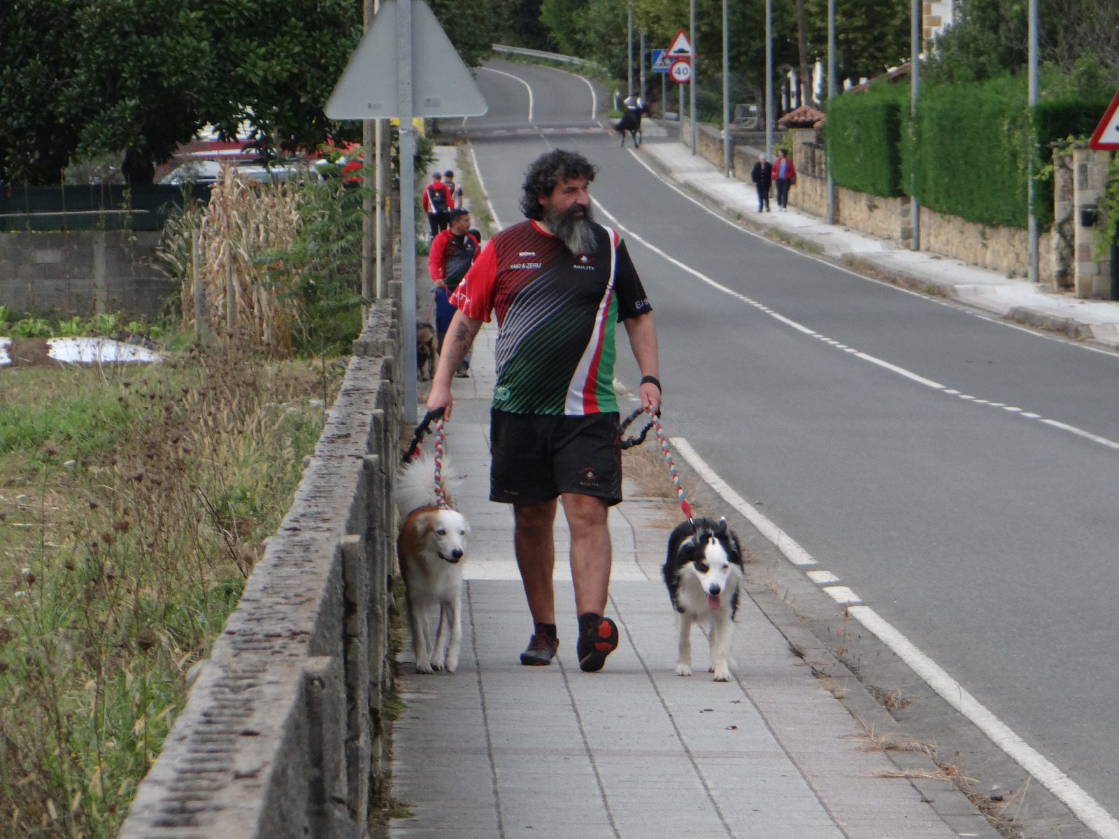 Curso de Agility y Educacion Canina Bizkaia