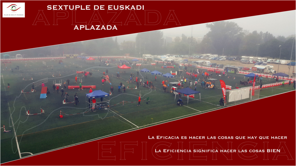 Curso de Agility y Educacion Canina Bizkaia