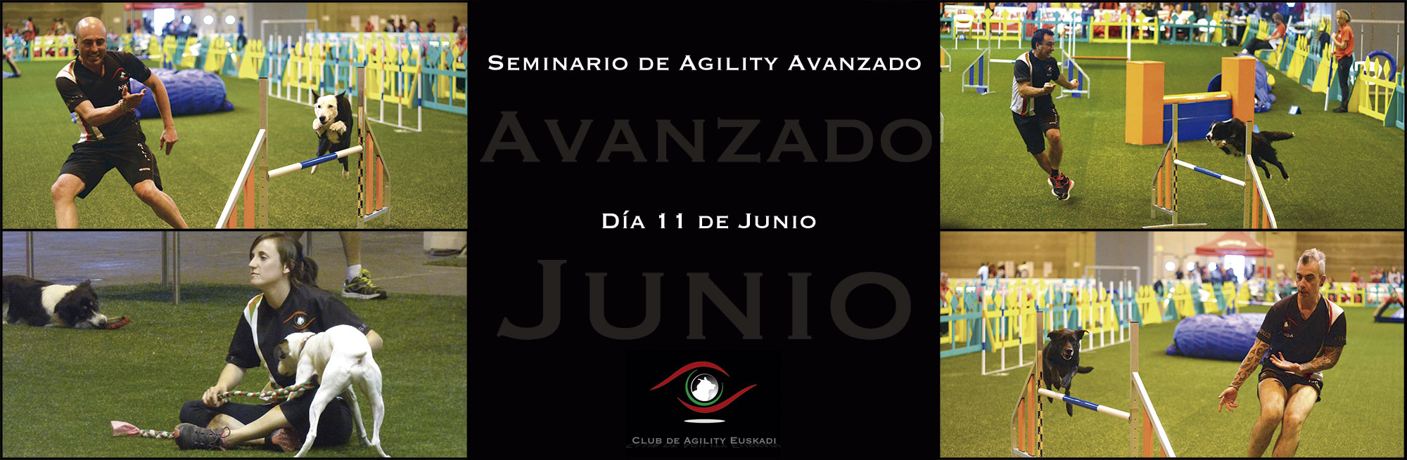 Seminario de Agility Avanzado