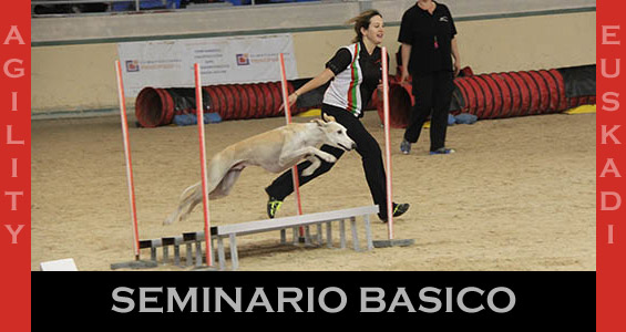 Curso de Agility y Educacion Canina Bizkaia