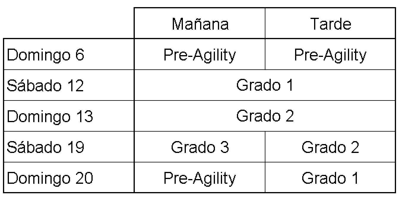 Entrenamientos Intensivos Noviembre