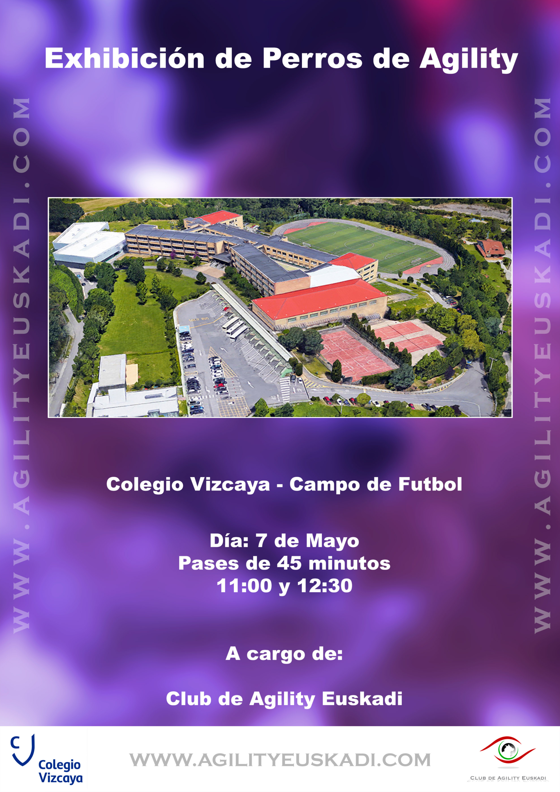 Exhibicion Colegio Vizcaya