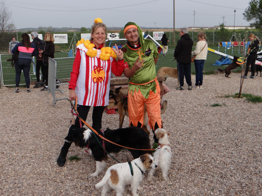 Curso de Agility y Educacion Canina Bizkaia