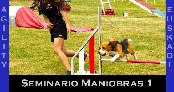 Curso de Agility y Educacion Canina Bizkaia