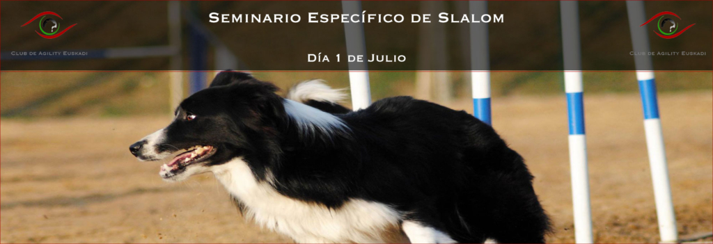 Curso de Agility y Educacion Canina Bizkaia