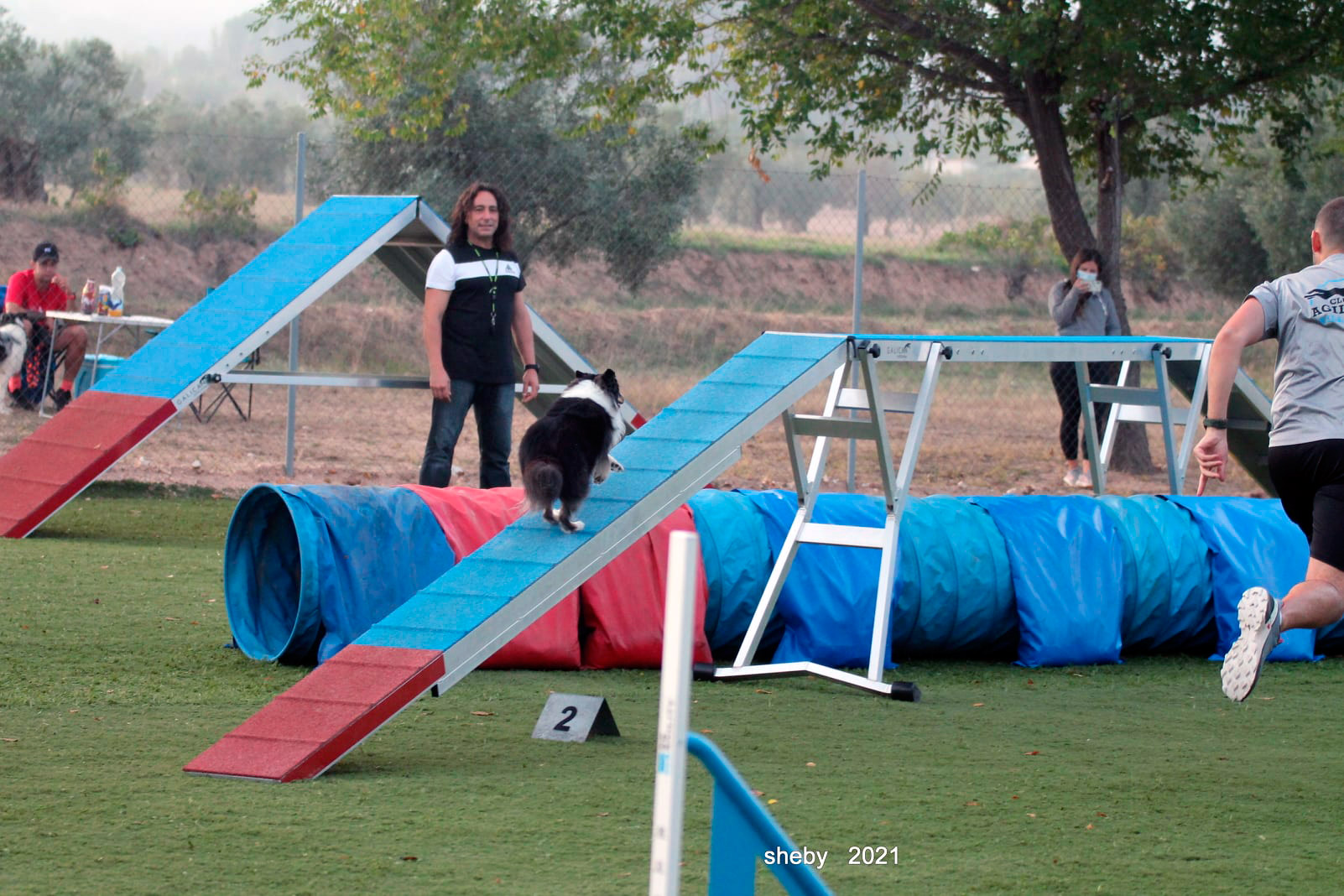 Agility Villena