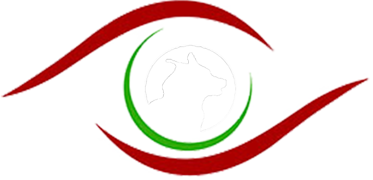 Club de Agility Euskadi