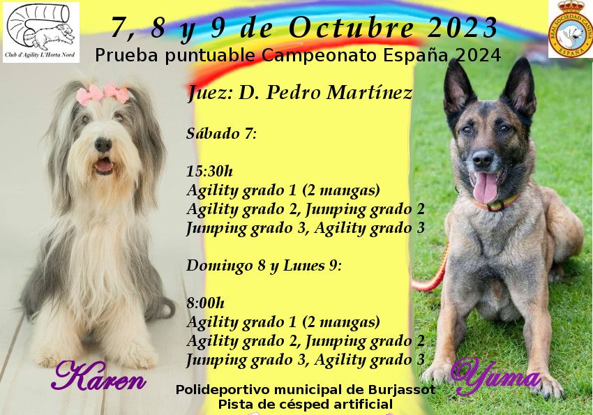 Curso de Agility y Educacion Canina Bizkaia