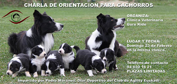 CHARLA DE ORIENTACIÓN