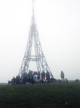 Gorbea 2012