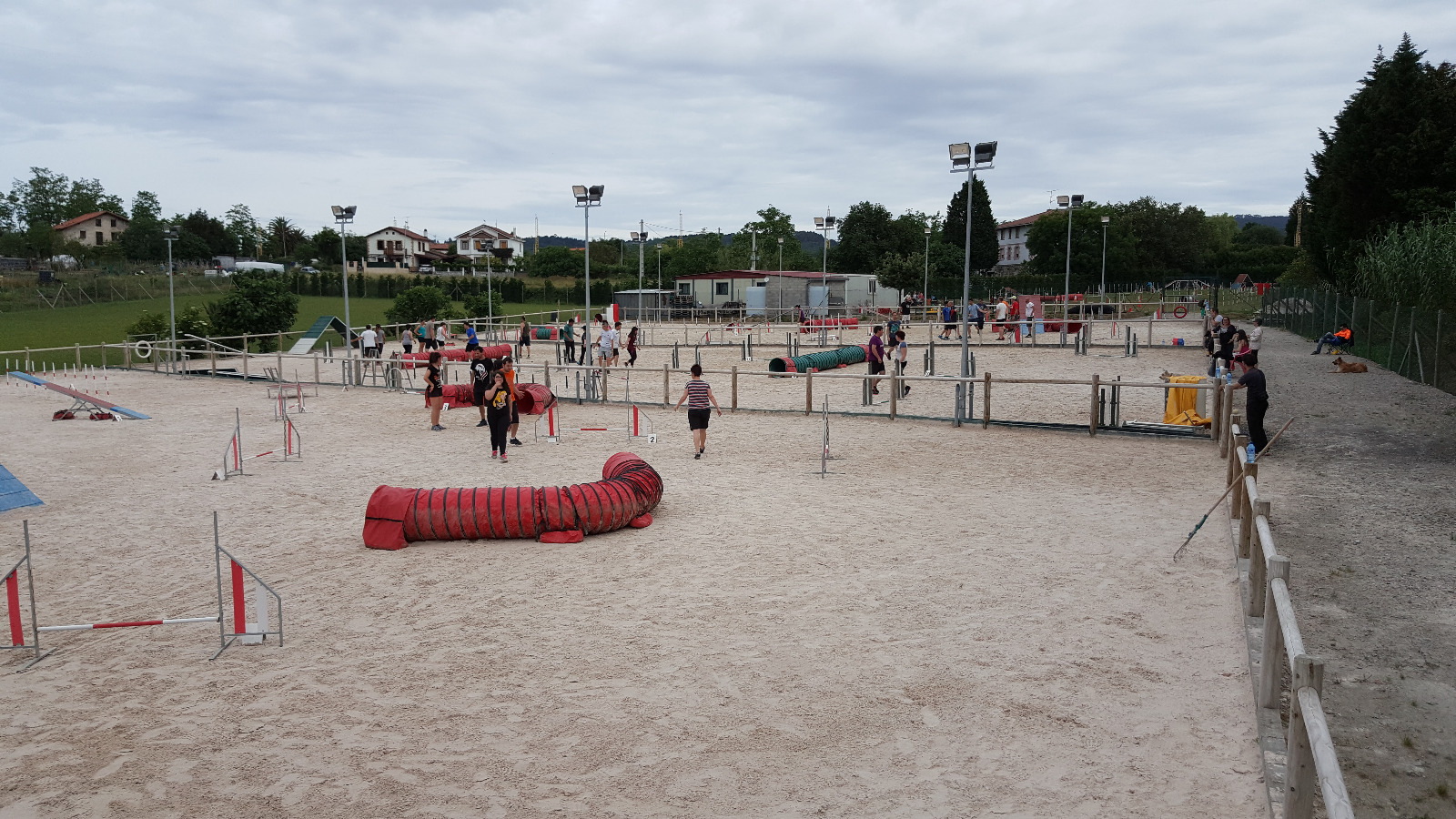 Curso de Agility y Educacion Canina Bizkaia