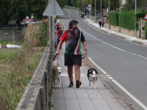 Curso de Agility y Educacion Canina Bizkaia