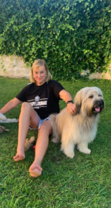 Curso de Agility y Educacion Canina Bizkaia