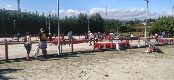 Curso de Agility y Educacion Canina Bizkaia