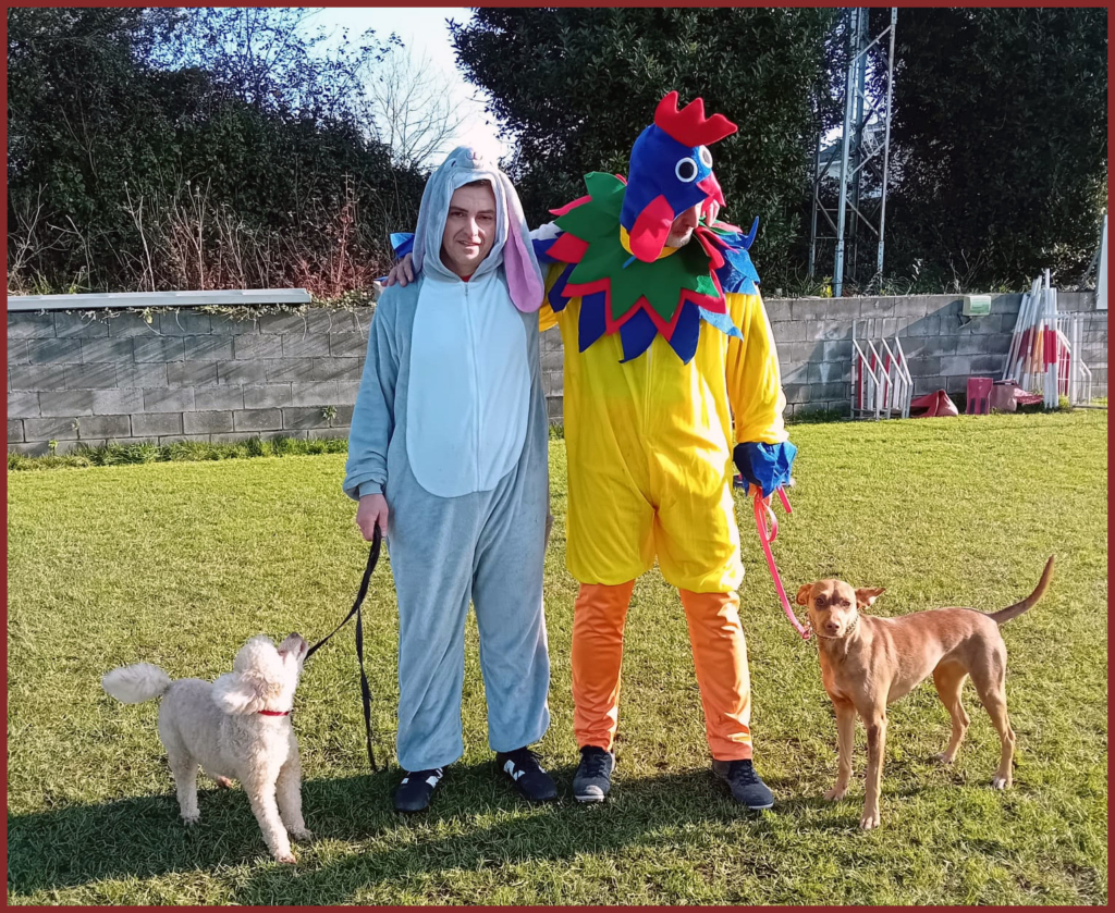 Curso de Agility y Educacion Canina Bizkaia