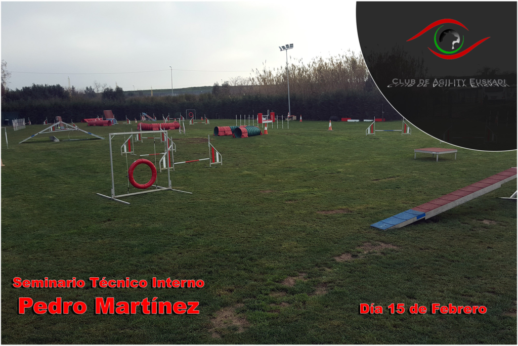 Curso de Agility y Educacion Canina Bizkaia