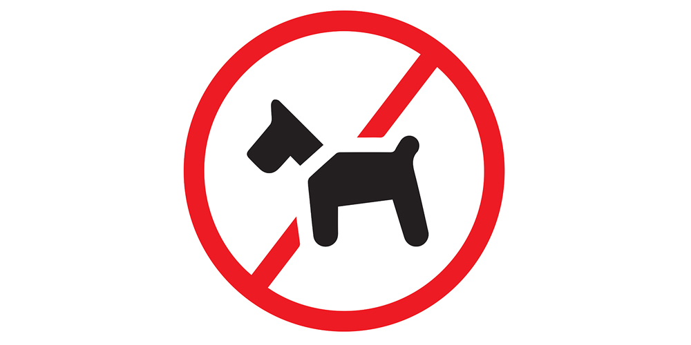 Restricciones Caninas
