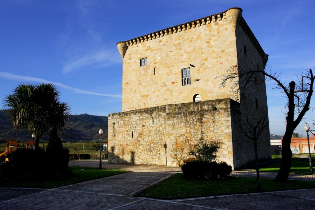 Curso de Educación Canina en Zamudio