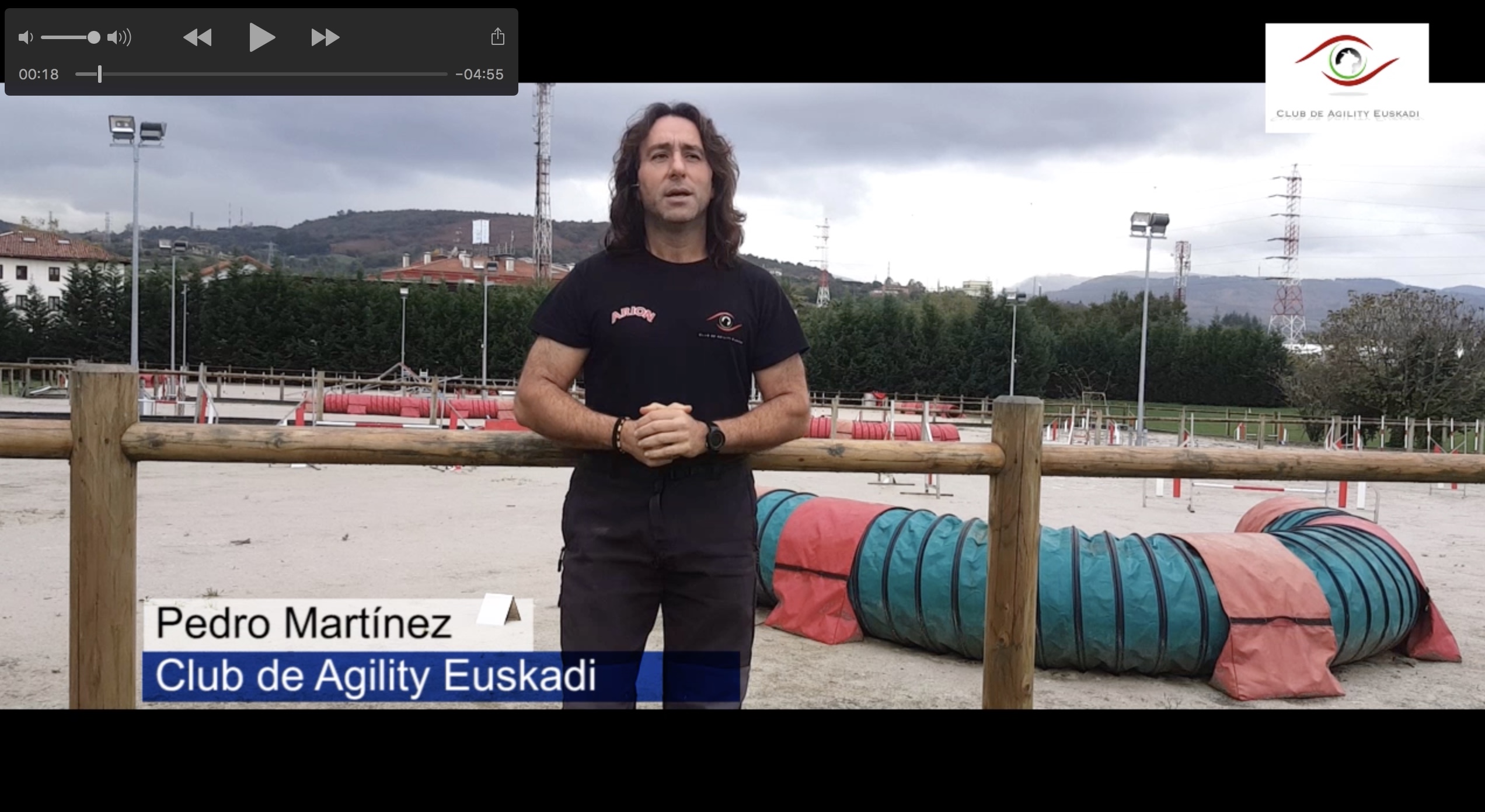 Regalar perros por Navidad