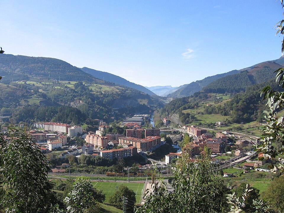 Curso educación canina Alonsótegi: Aprende a educar a tu perro de manera efectiva