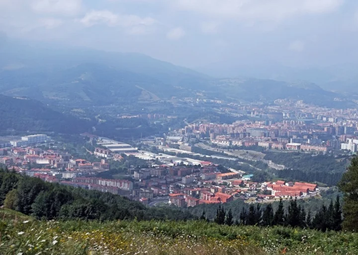Curso de Educación Canina en Etxebarri
