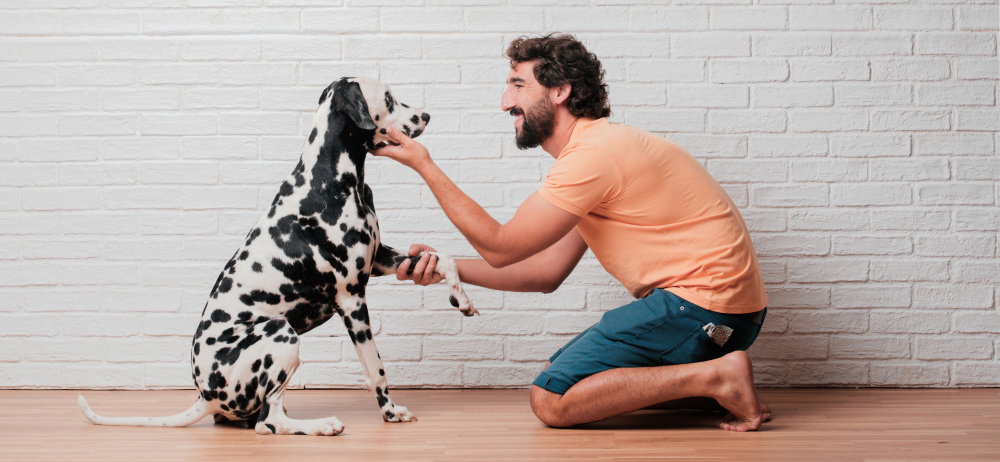 cómo mejorar el comportamiento de tu perro