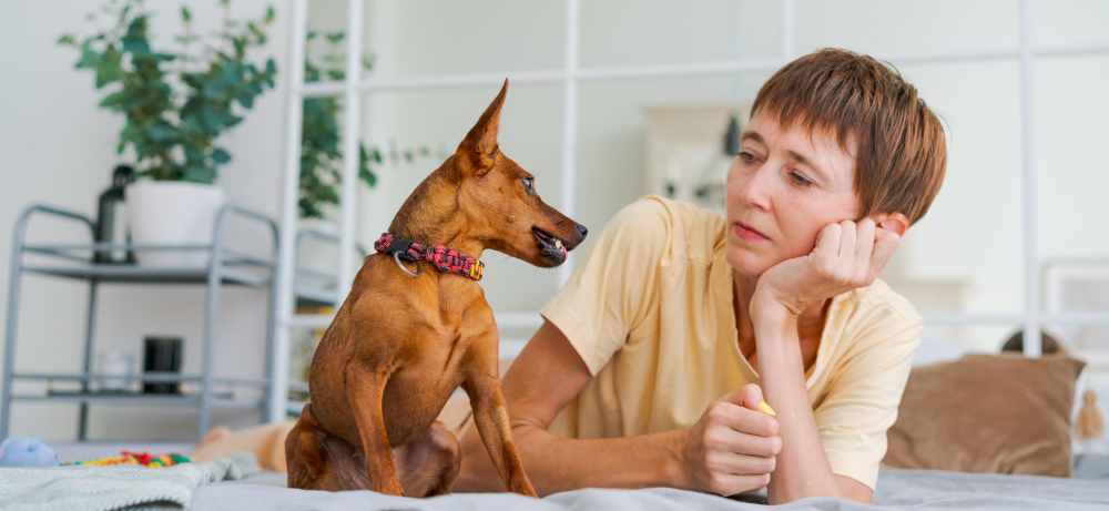 cómo mejorar el comportamiento de tu perro
