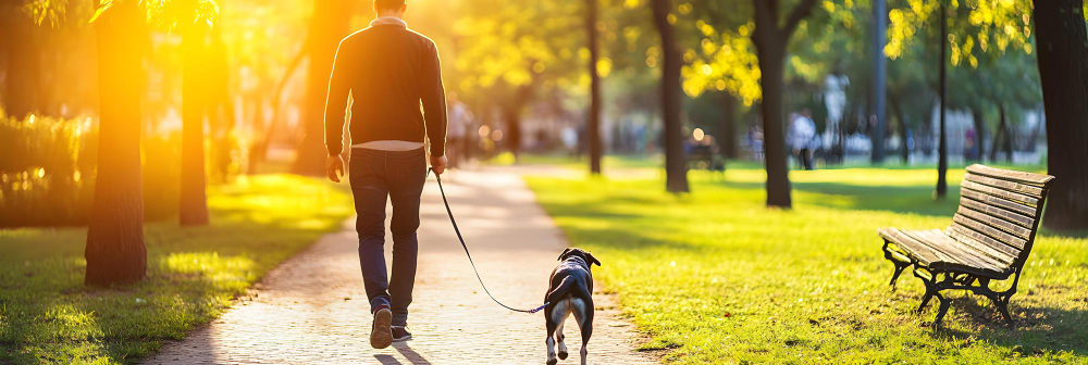 El paseo con perro
