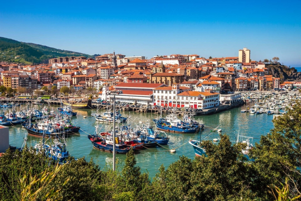Curso de Educación Canina en Bermeo